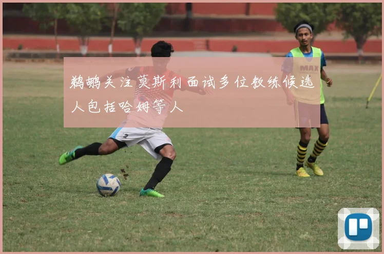 鹈鹕关注莫斯利面试多位教练候选人包括哈姆等人